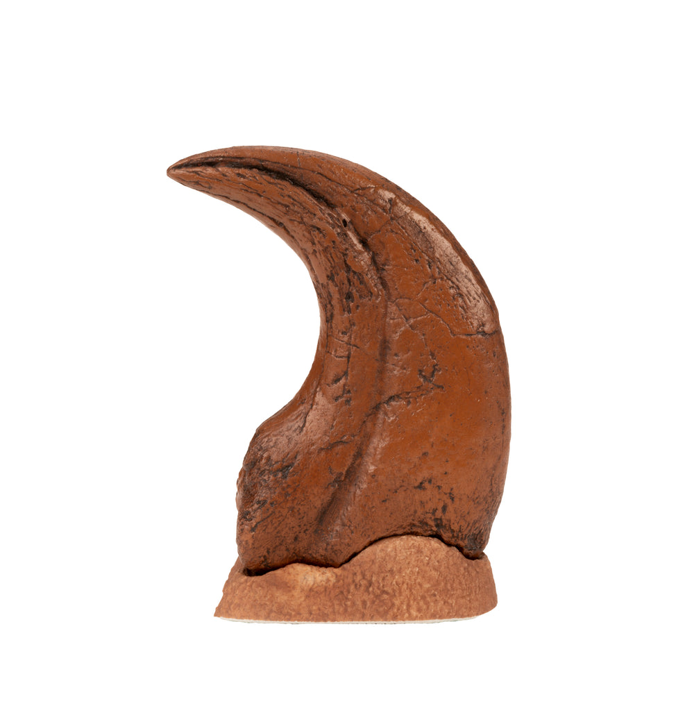 Alxasaurus_Claw