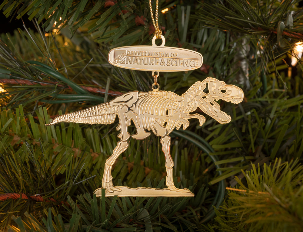 Dino_Ornament_5