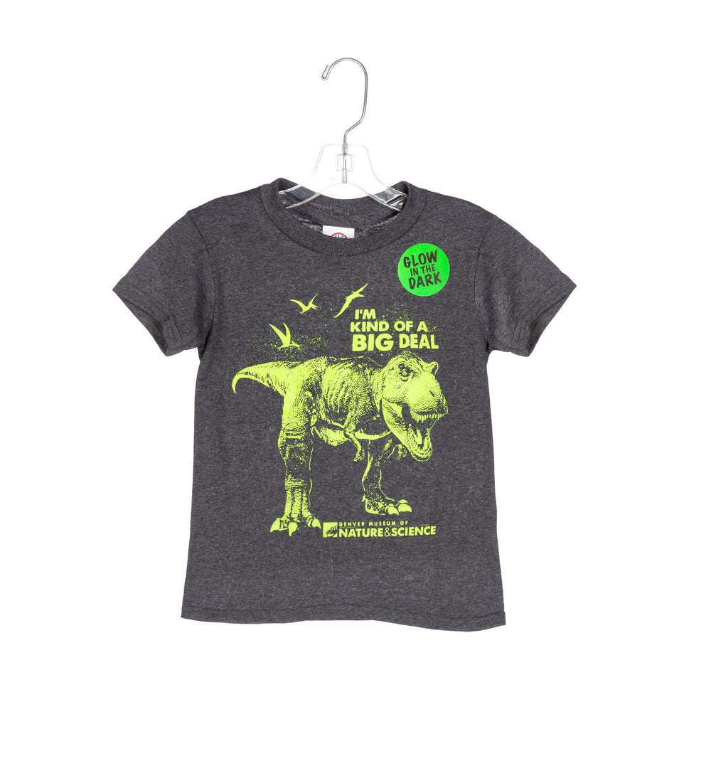 Shirt_Child_T-Rex_Glow_Sticker-a